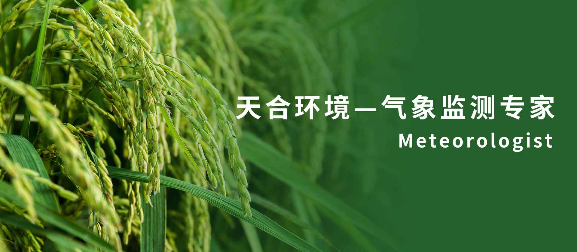 氣象傳感器廠家
